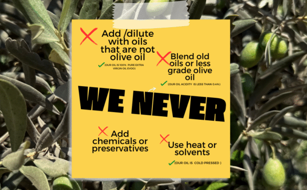 Extra Virgin Olive Oil - 500ml - Image 3
