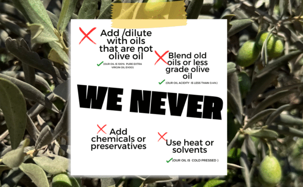 Extra Virgin Olive Oil - 500ml - Image 4
