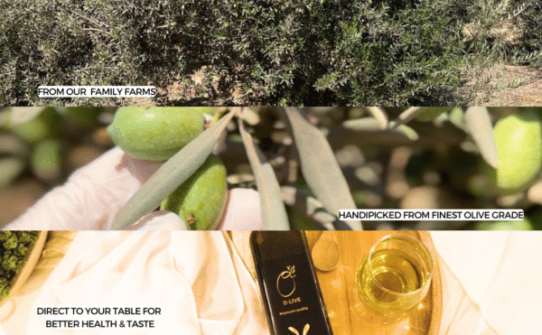 Extra Virgin Olive Oil - 500ml - Image 5